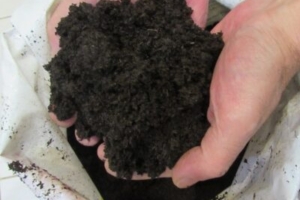 Что такое биогумус