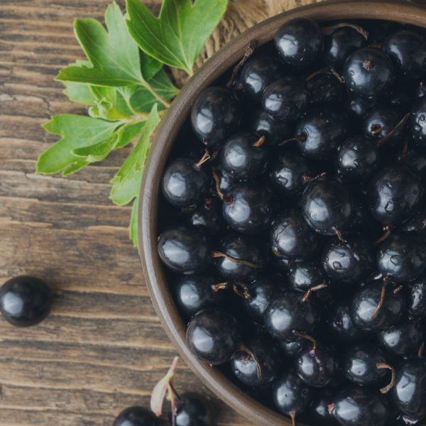 золотистая смородина ягоды