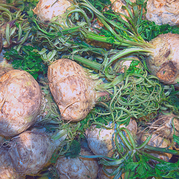 корневой сельдерей