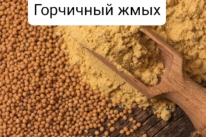 Горчичный жмых