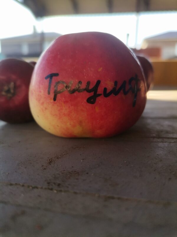 яблоко Триумф