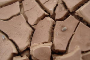 Глинистая почва