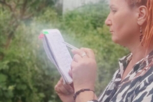 Как распланировать сад